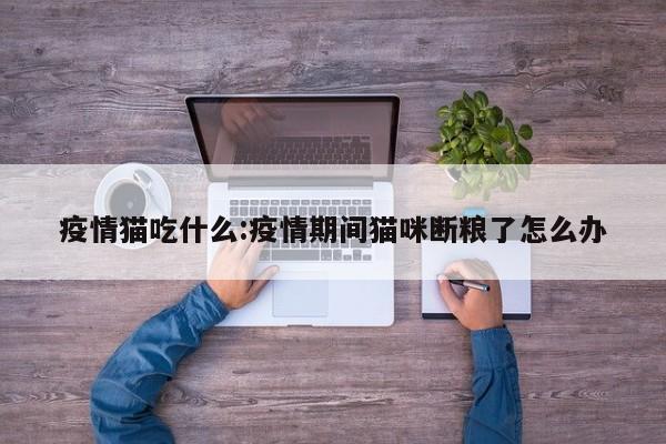 疫情猫吃什么:疫情期间猫咪断粮了怎么办