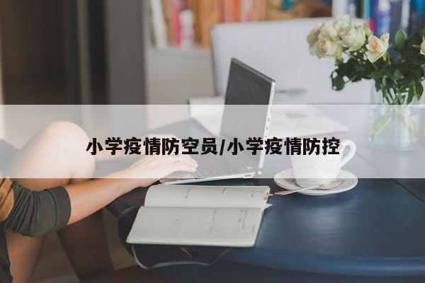小学疫情防空员/小学疫情防控