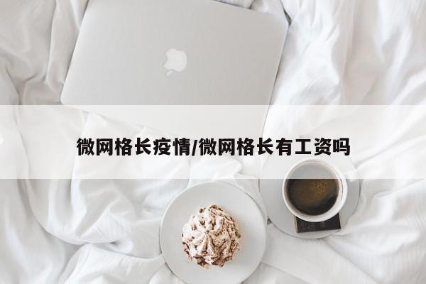 微网格长疫情/微网格长有工资吗